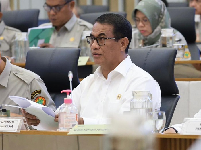 Mentan Komparasi Swasembada Era Soeharto & Jokowi: Sama-sama Hebat