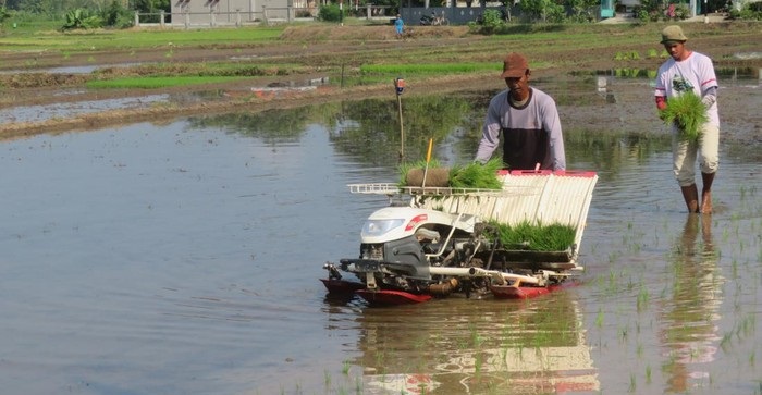 SHS Siap Bangkitkan Sukamandi Sebagai Pusat Perbenihan Terbesar, Harapan Baru untuk Petani Indonesia!