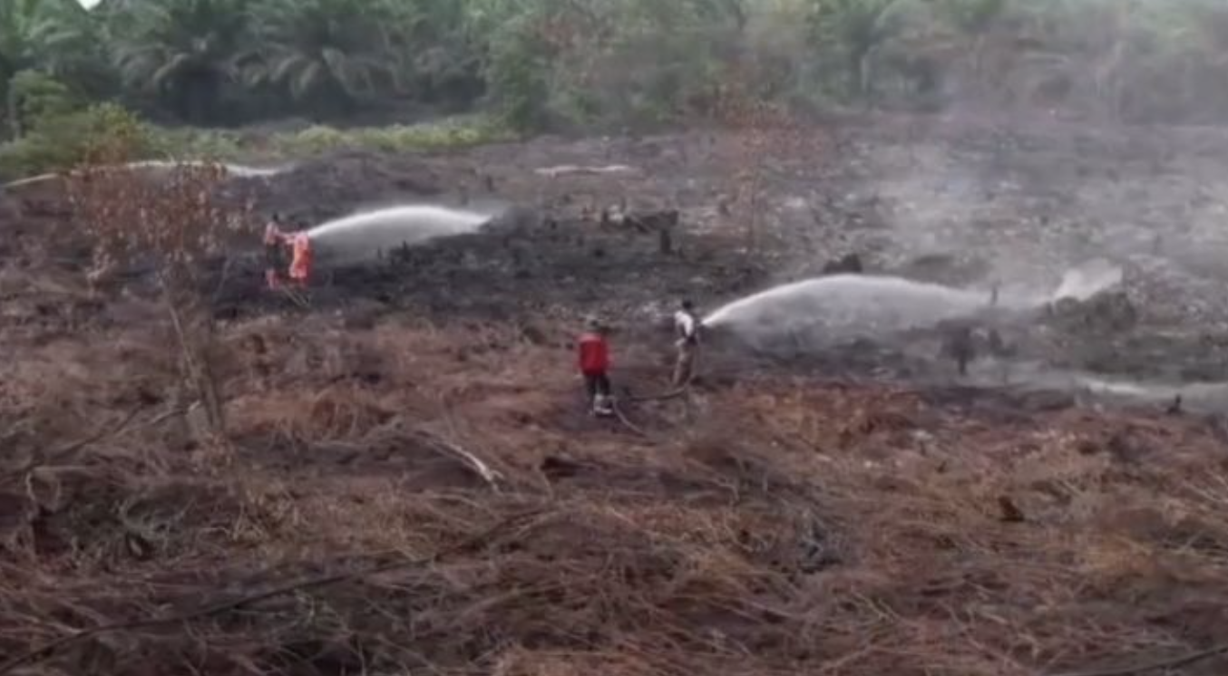 15 Hektare Lahan Terbakar, BPBD Riau Lakukan Pendinginan Intensif