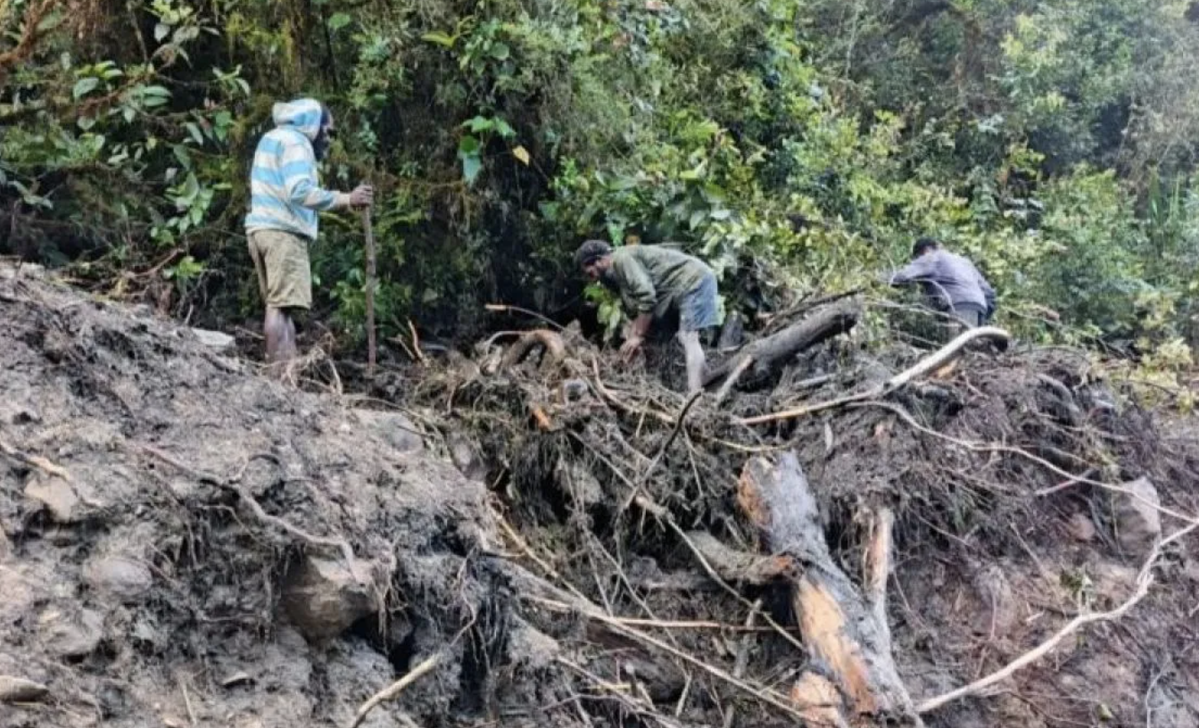 23 Warga Hilang Akibat Banjir Bandang di Papua, BNPB Lakukan Pencarian