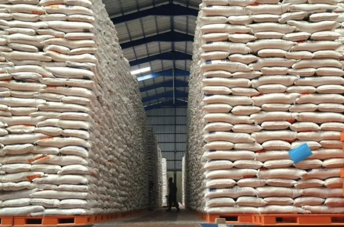 Stok Beras Kuat, Pemerintah Siap Jaga Harga dan Pasokan Nasional