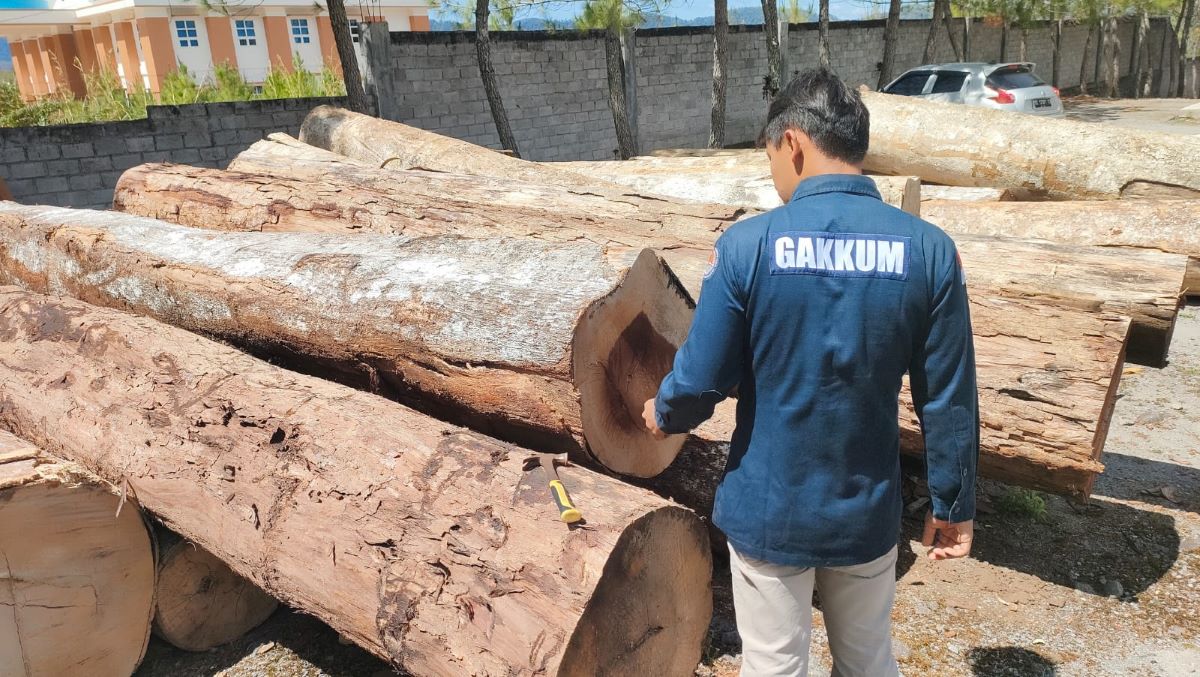 BPKH: Deforestasi di Aceh Didominasi Aktivitas Perkebunan dan APL