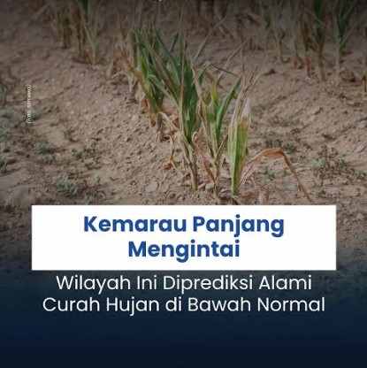 BMKG: Indonesia Masuki Fase El Nino Kuat, Pemerintah Siaga Kekeringan dan Karhutla