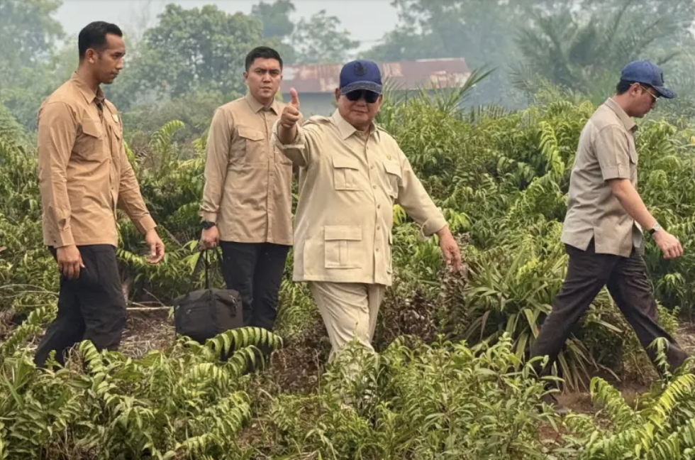 Karhutla di Kalimantan, Pemerintah Pastikan Pelanggaran Hukum Ditindak Tegas