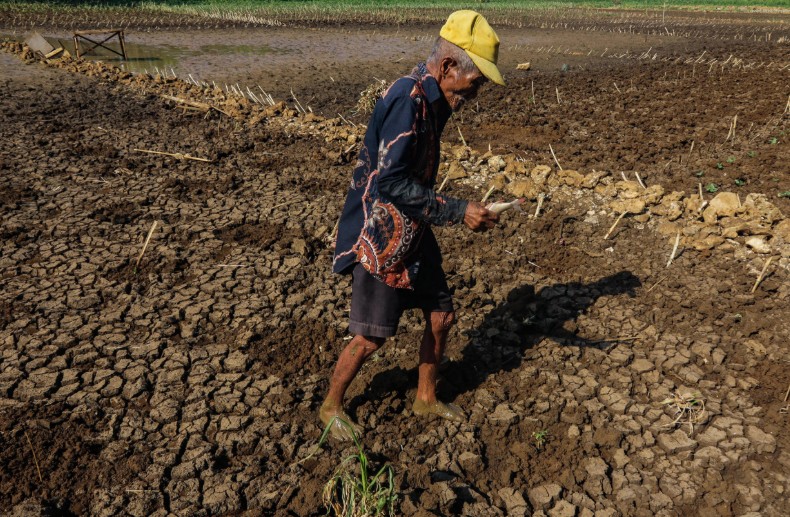 Pemerintah Siapkan Stimulus Ekonomi Hadapi Ancaman El Nino