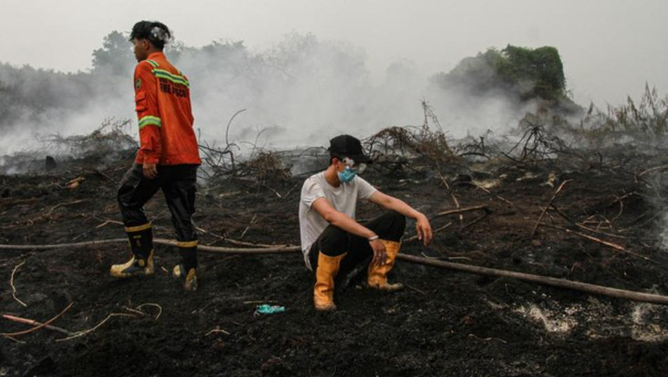Kemenhub Izinkan 35 Pesawat Asing Bantu Padamkan Karhutla di Kalimantan