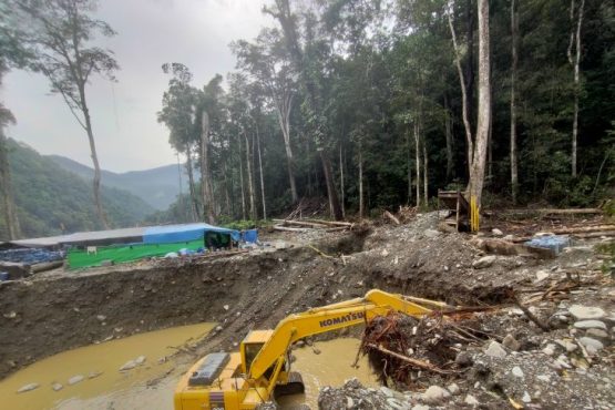 Tambang Emas ilegal di Manokwari