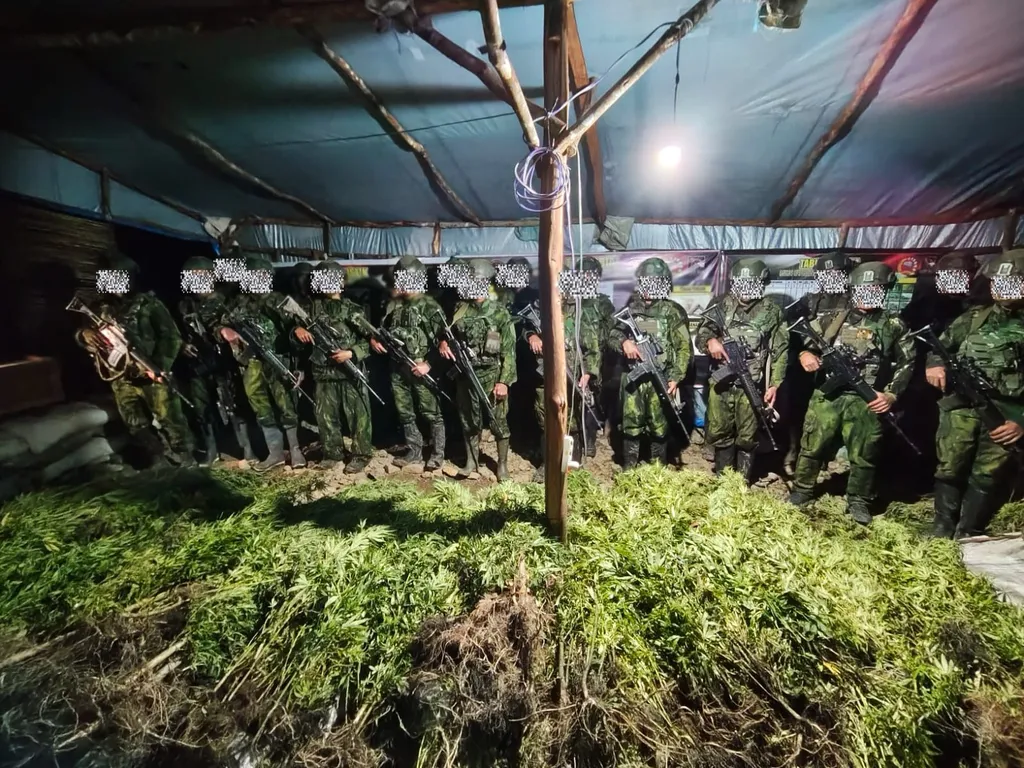 Pengamanan Honai Diduga Markas Transit Kelompok Bersenjata Dinilai Dukung Stabilitas Papua