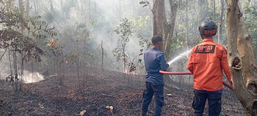 Hadapi Musim Kemarau, Pemerintah Tingkatkan Kesiapsiagaan dan Penanganan Karhutla di Daerah