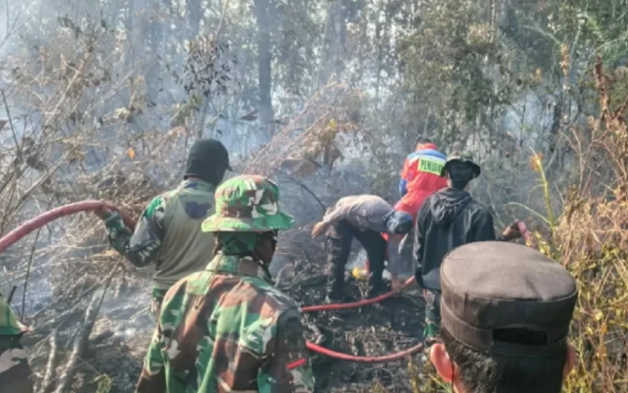 Peran TNI dalam Penanganan Karhutla dan Bencana Mendapat Apresiasi Publik