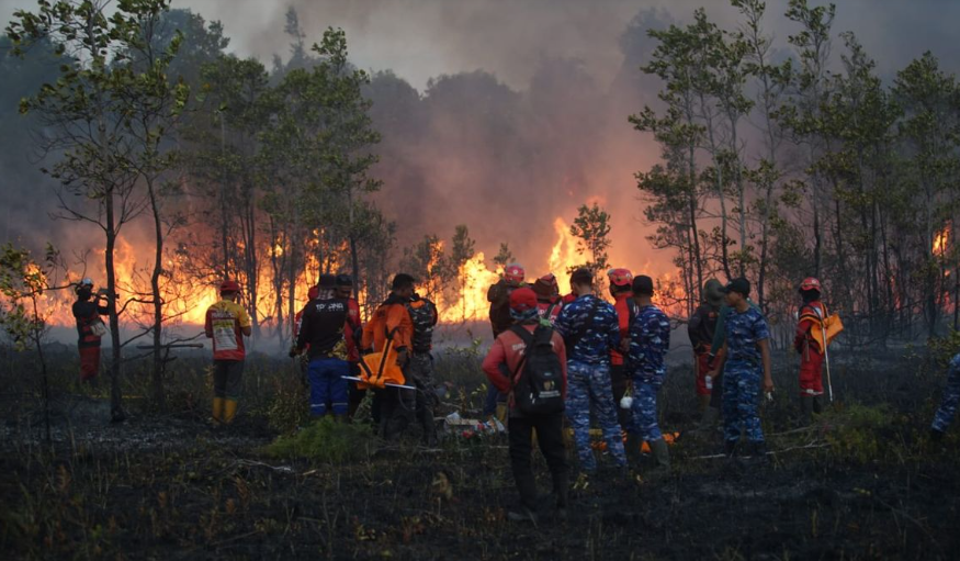 Puan Dukung Penyegelan 21 Badan Usaha Terkait Karhutla